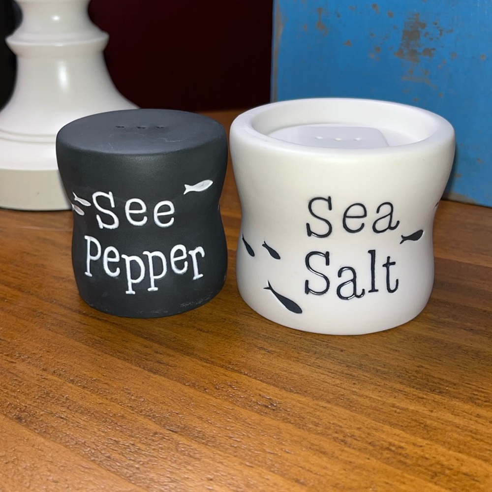Salt & Pepper Shaker NWOT